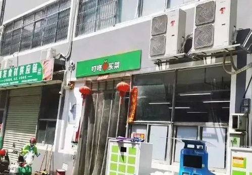 加快發(fā)展數(shù)字田園，以科技引領(lǐng)農(nóng)業(yè)現(xiàn)代化轉(zhuǎn)型